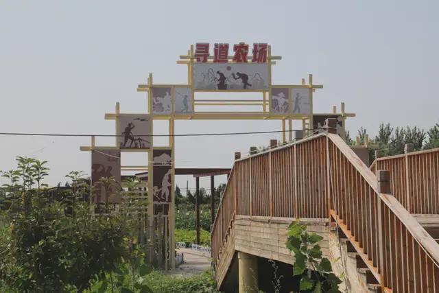 走齐鲁·看体育社会组织 活力东昌体育社会力量正奔涌(图10)